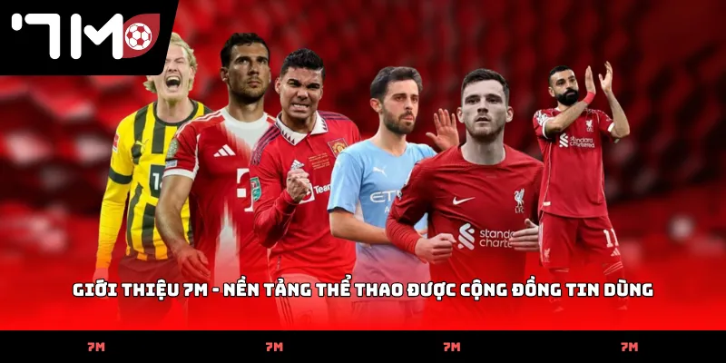 gioi thieu 7m nen tang the thao duoc cong dong tin dung Giới thiệu 7M - Nền tảng thể thao được cộng đồng tin dùng