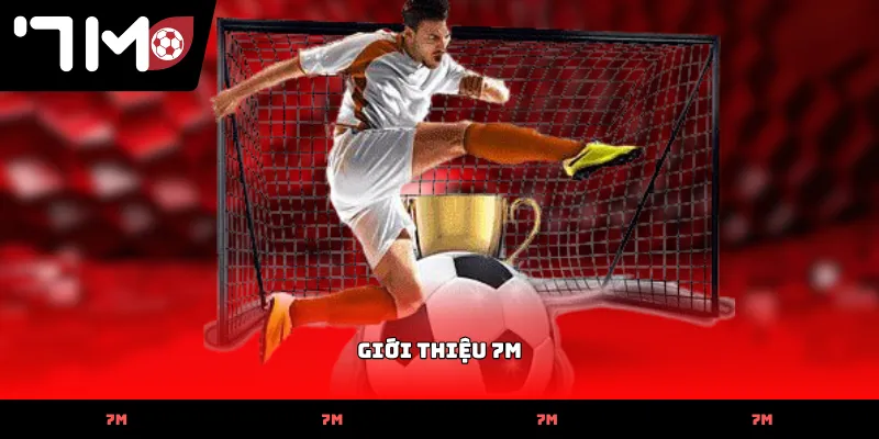 gioi thieu 7m Giới Thiệu 7M về quy trình kiểm tra dữ liệu thi đấu