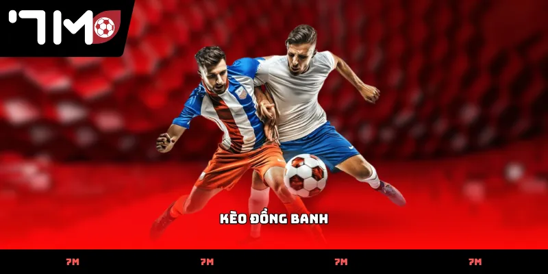 keo dong banh
